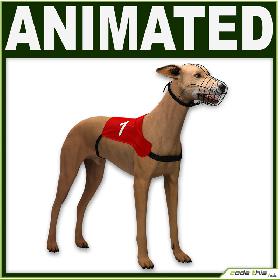 Greyhound Dog CG